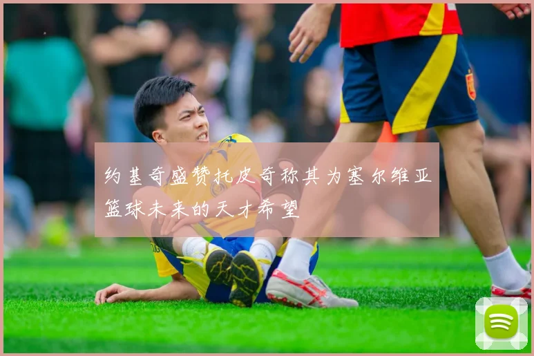 约基奇盛赞托皮奇称其为塞尔维亚篮球未来的天才希望