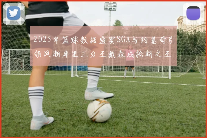 2025年篮球数据盛宴SGA与约基奇引领风潮库里三分王戴森成抢断之王